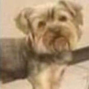 Meet your Posher, Veronica